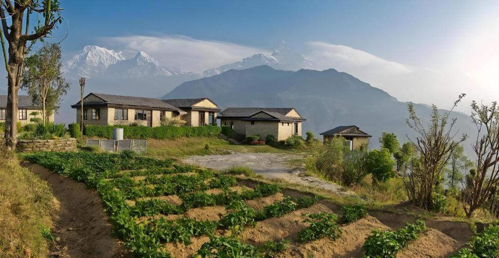 Hananoie - A Permaculture Resort Похара Екстериор снимка